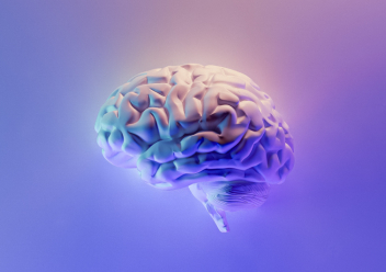 représentation du cerveau sur un fond violet et bleu