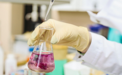 fiole avec contenu rose et pipette