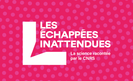 les échappés inattendues en blanc sur fond rose